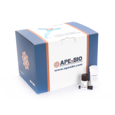 BCA Protein Assay Kit
