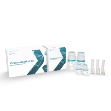 ExTransfection™ Kit (100 μL) kit 96 x 2 reactions