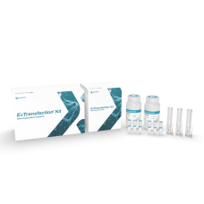 ExTransfection™ Kit (10 μL) 96 x 2 reactions